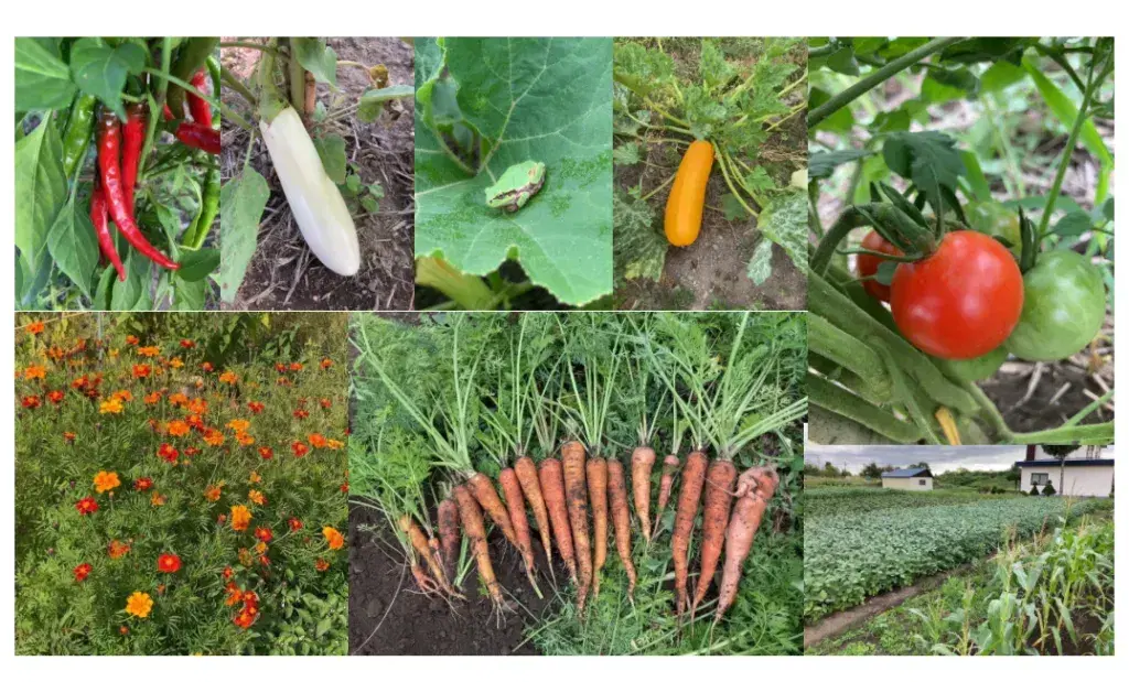 【4/25(土)農家さんに教わる「小さくはじめる自然栽培」軽食&amp;種のプレゼント付】